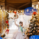 Минимир красоты Буковины 2018