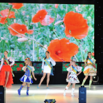 Мінісвіт краси України 2011