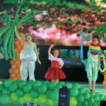 Мінісвіт краси України 2011