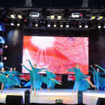 Мінісвіт краси України 2011