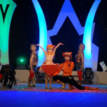 Мінісвіт краси Буковини-2009